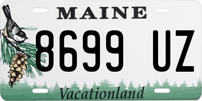 ME license plate 8699UZ