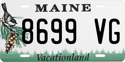 ME license plate 8699VG