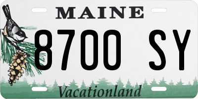ME license plate 8700SY