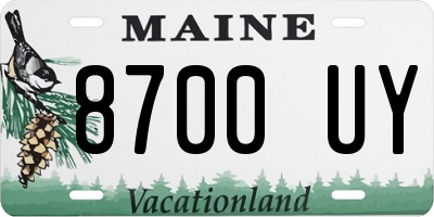 ME license plate 8700UY