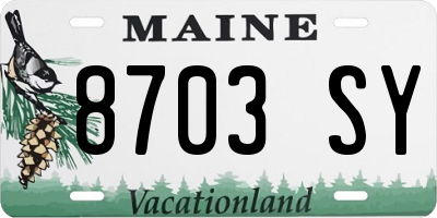 ME license plate 8703SY