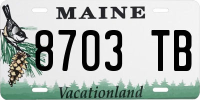 ME license plate 8703TB