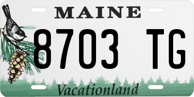 ME license plate 8703TG