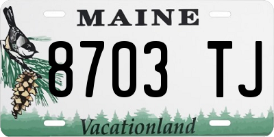ME license plate 8703TJ