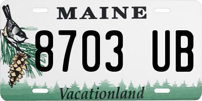 ME license plate 8703UB