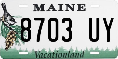 ME license plate 8703UY