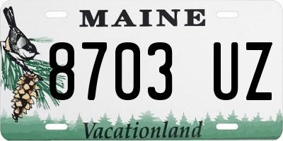 ME license plate 8703UZ