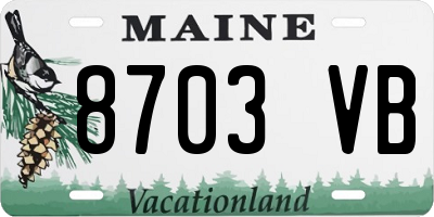 ME license plate 8703VB