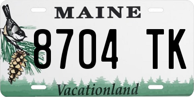 ME license plate 8704TK