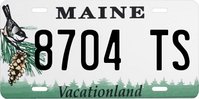 ME license plate 8704TS