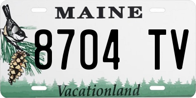 ME license plate 8704TV
