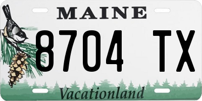 ME license plate 8704TX