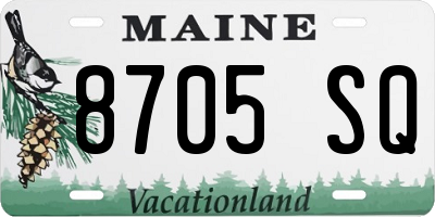 ME license plate 8705SQ