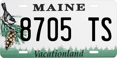 ME license plate 8705TS