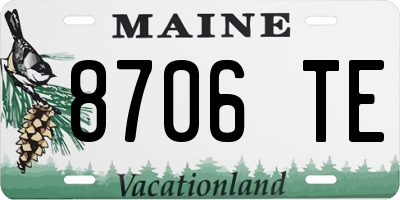 ME license plate 8706TE