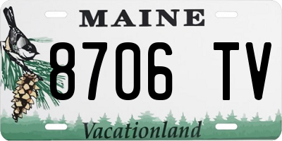 ME license plate 8706TV