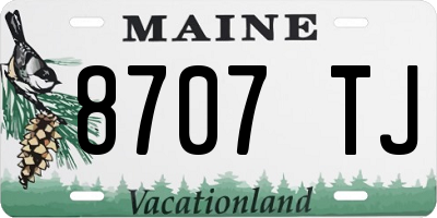 ME license plate 8707TJ