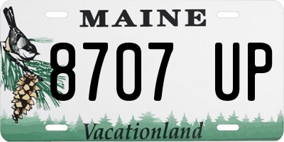 ME license plate 8707UP
