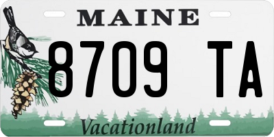 ME license plate 8709TA
