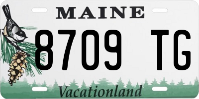 ME license plate 8709TG