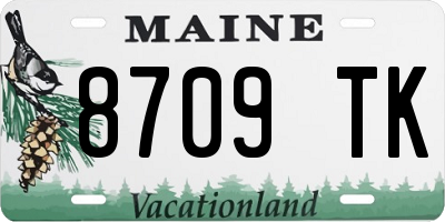 ME license plate 8709TK