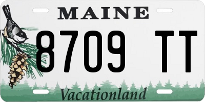 ME license plate 8709TT