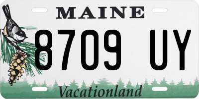 ME license plate 8709UY