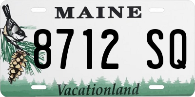ME license plate 8712SQ