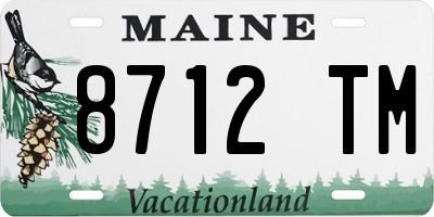 ME license plate 8712TM
