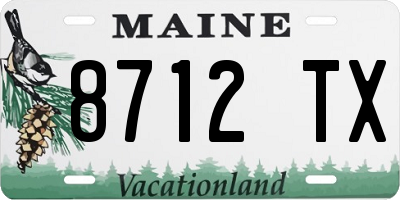 ME license plate 8712TX
