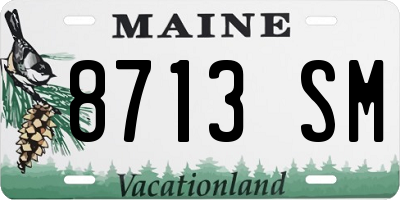 ME license plate 8713SM
