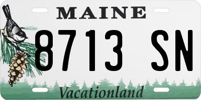 ME license plate 8713SN