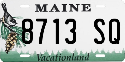 ME license plate 8713SQ