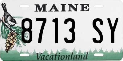 ME license plate 8713SY