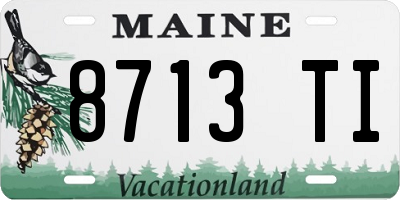 ME license plate 8713TI