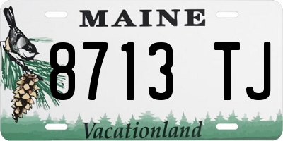 ME license plate 8713TJ