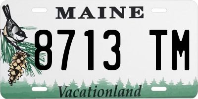 ME license plate 8713TM