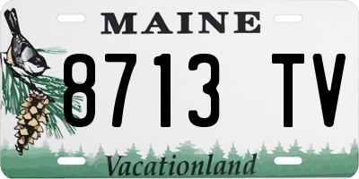 ME license plate 8713TV