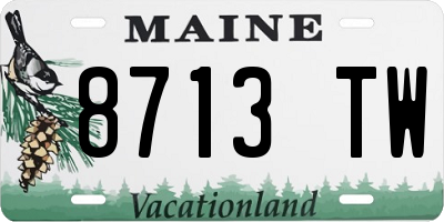 ME license plate 8713TW