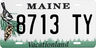 ME license plate 8713TY