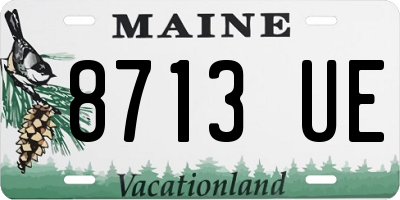 ME license plate 8713UE