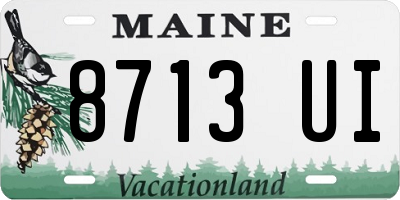 ME license plate 8713UI