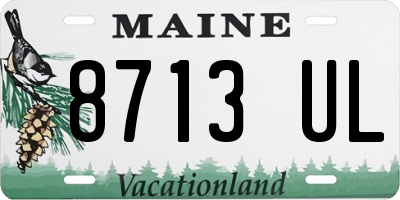 ME license plate 8713UL