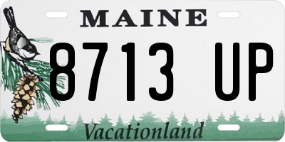 ME license plate 8713UP