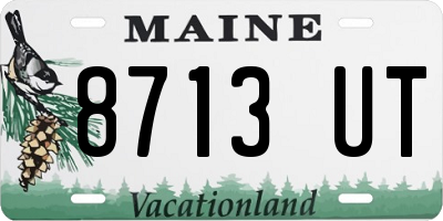 ME license plate 8713UT