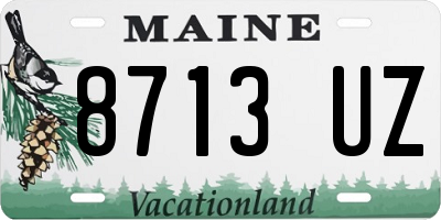ME license plate 8713UZ