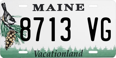 ME license plate 8713VG