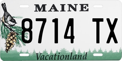 ME license plate 8714TX