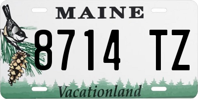 ME license plate 8714TZ