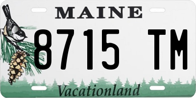 ME license plate 8715TM